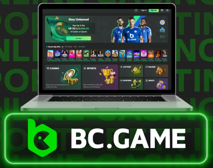 Bc.Game Casino Live An Immersive Gaming Experience